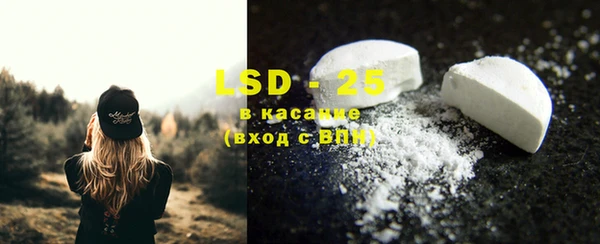 ешки Новозыбков