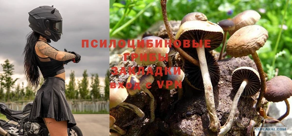 скорость Новодвинск