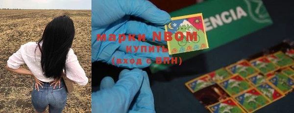 ешки Новозыбков