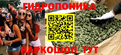 PSILOCYBIN Заводоуковск