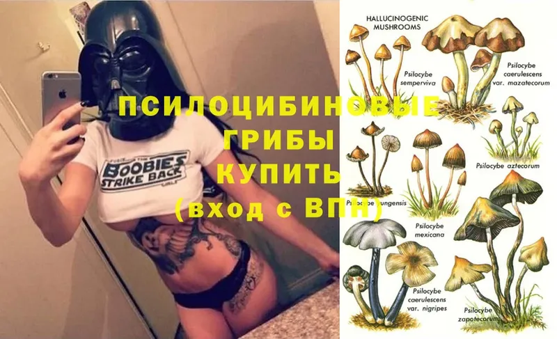 Псилоцибиновые грибы Psilocybine cubensis  где купить наркоту  kraken маркетплейс  Коркино 