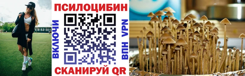 ОМГ ОМГ ссылки  купить  цена  Коркино  Псилоцибиновые грибы Psilocybine cubensis 