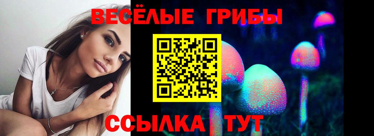 Псилоцибиновые грибы GOLDEN TEACHER  Вход с VPN  Коркино 